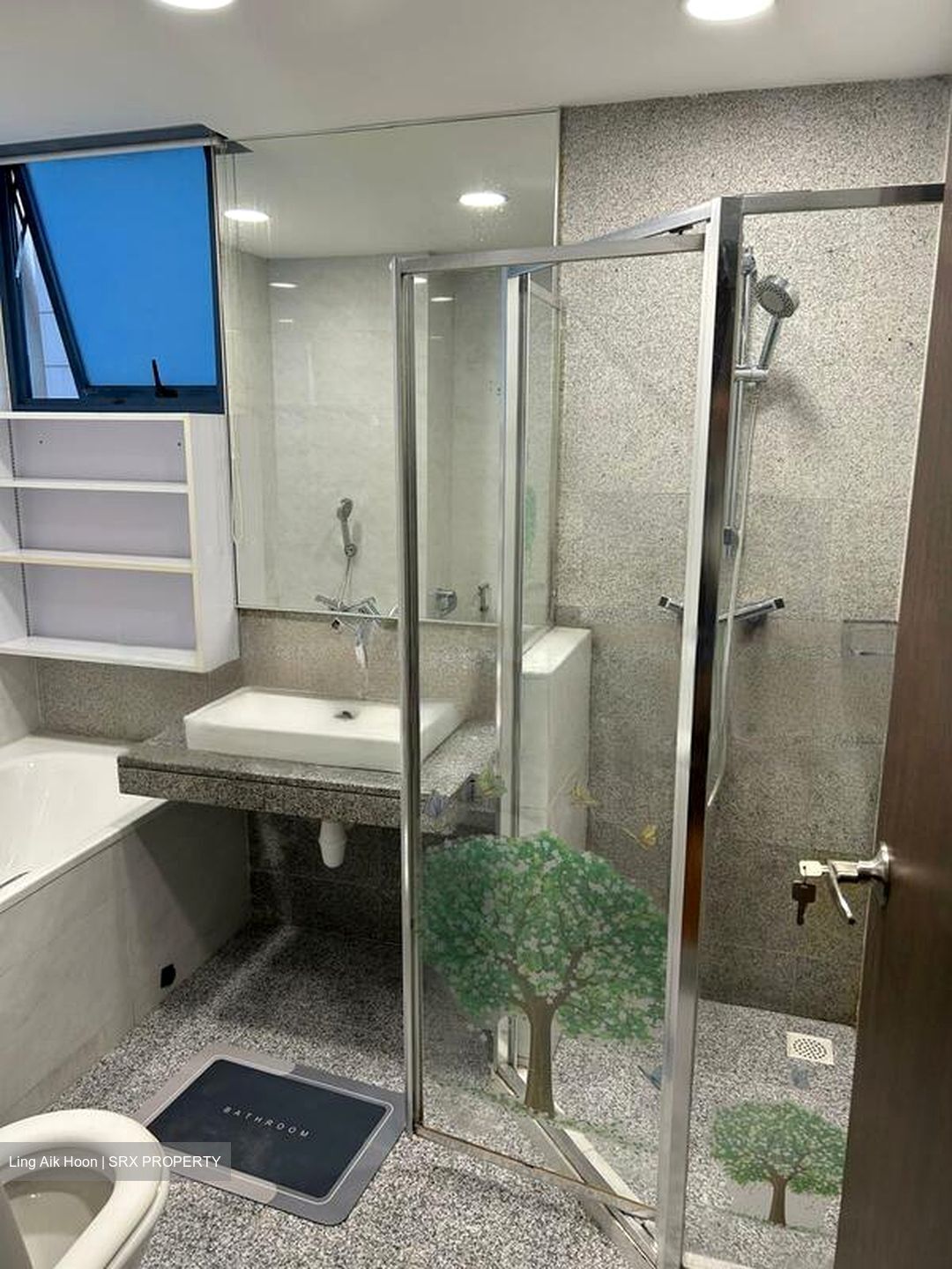 Blue Horizon (D5), Condominium #474690171